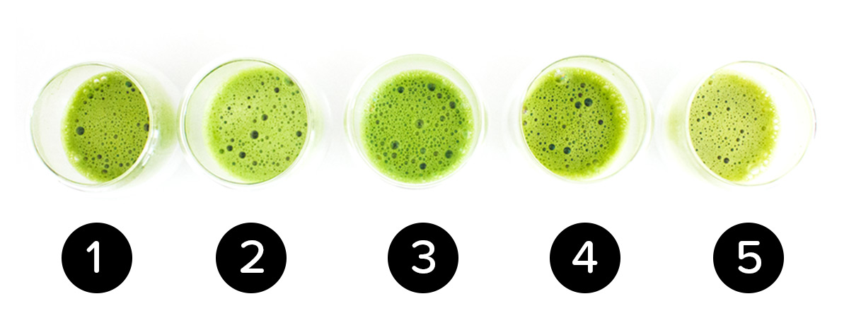 2015 Matcha Showdown Key | Matcha Reviews