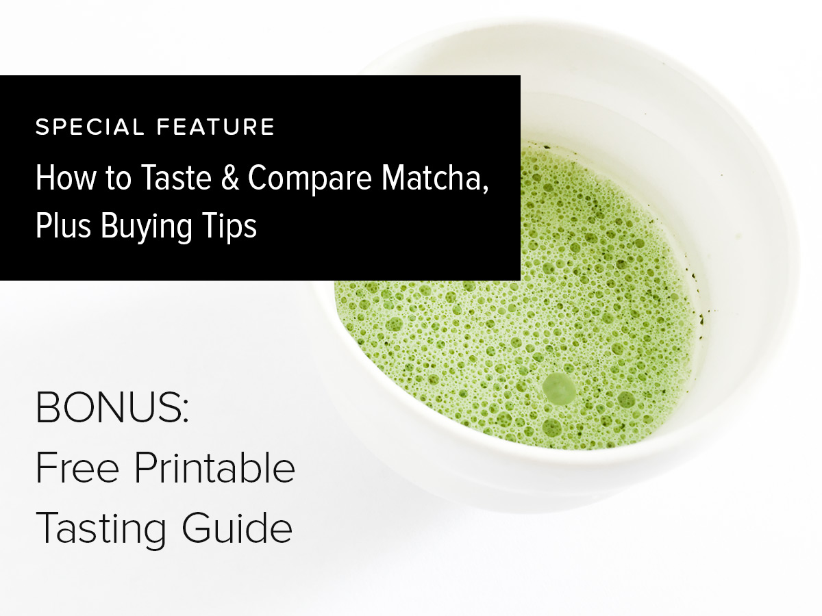Matcha Reviews | How to Taste & Compare Matcha, Plus Buying Tips